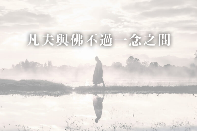 清風心齋，六組精華